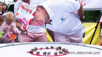 Ready, set, slow! England wins gold in world championships at the weekend - in snail racing
