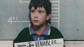 How James Bulger's mother is STILL battling to keep her son's killer locked up and why Jon Venables refuses to face the parole hearing that could see him freed any day, by DAVID JAMES SMITH