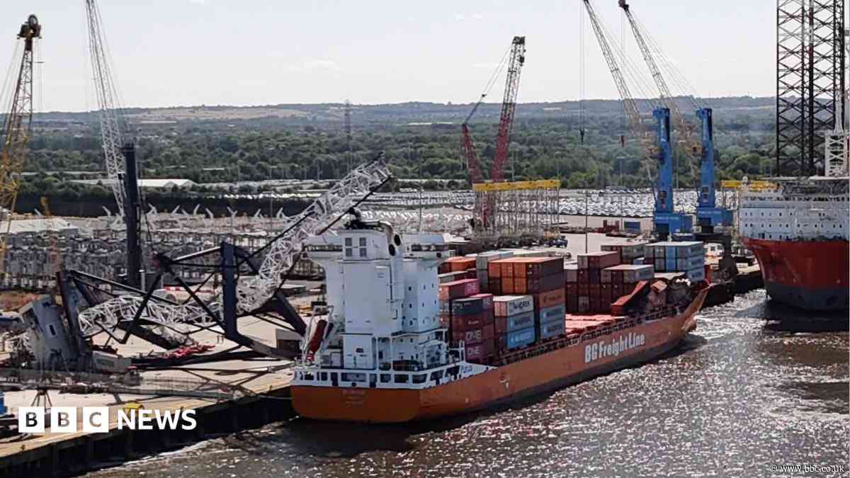 Man injured in dockside crane 'collapse'
