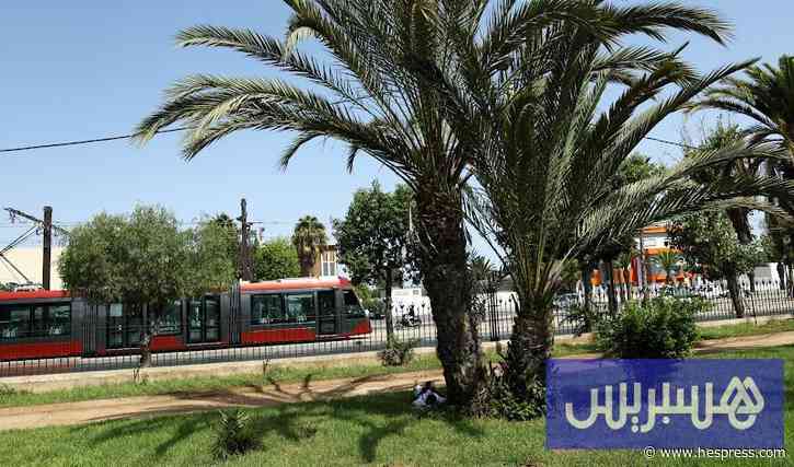 جماعة البيضاء تستنفر الجهود لحماية المساحات الخضراء من موجة الحر