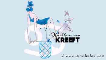 Weekhoroscoop week 30: Durf initiatief te nemen, Boogschutter!
