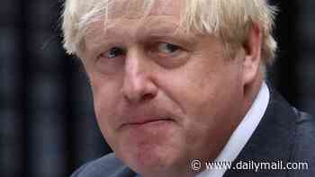 Ramping up the security for MPs would be 'expensive and pointless', says Boris Johnson