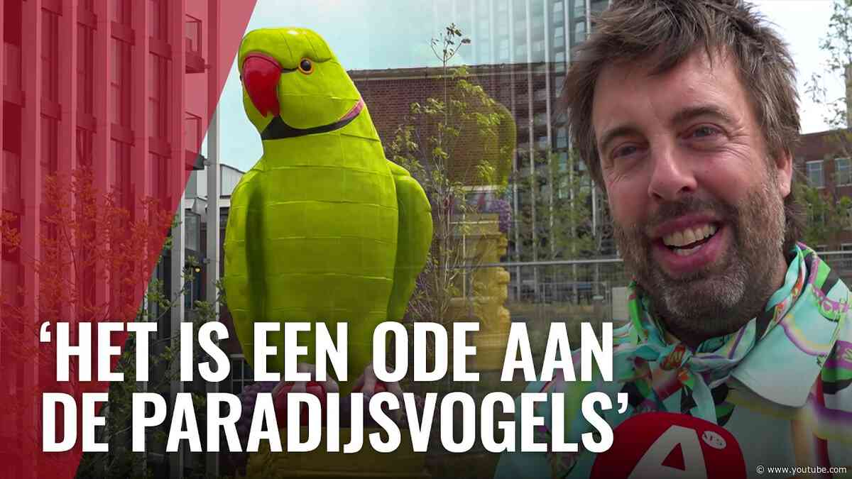 Metershoge halsbandparkiet kijkt uit over Overhoeks