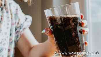 Difference between Pepsi, Pepsi Max and Diet Pepsi