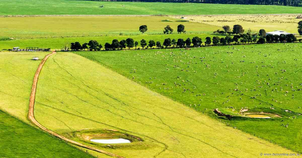 Chance to buy 200ha of tightly held grazing land in central Gippsland