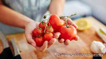 Tomatoes will stay fresh for a fortnight if you wash them with two ingredients