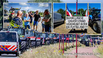 Withete boeren zinnen op megaprotest tegen stikstofplannen: ’Een beetje boe roepen op het Malieveld heeft geen zin’