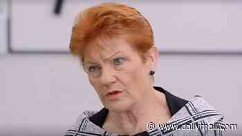 Pauline Hanson grills teenage girl who wears a niqab and asks her blunt questions about men having multiple wives, sharia law and wearing a bikini