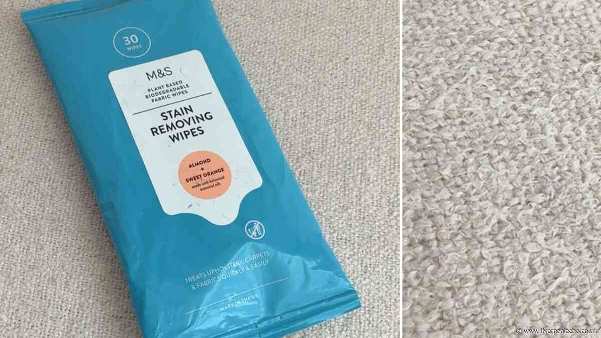 I tried M&S £1.25 wipes - watch stubborn stain vanish in 25 seconds