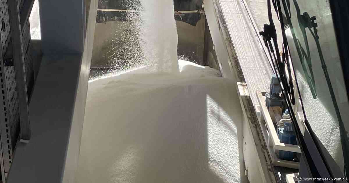 Urea prices ease but sulfur supply challenges weigh on fertiliser markets