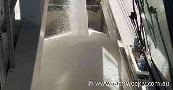 Urea prices ease but sulfur supply challenges weigh on fertiliser markets