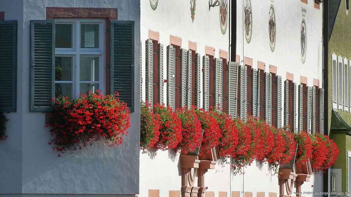 Bauturbo nur mit Vorgespräch: Stadtrat macht Zustimmung von Beratung abhängig