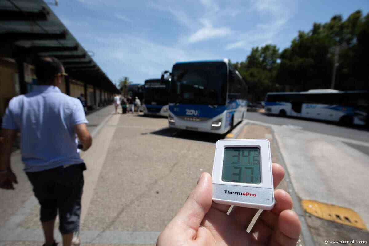 Le Var en vigilance orange à la canicule ce lundi, jusqu’à 39 °C attendus