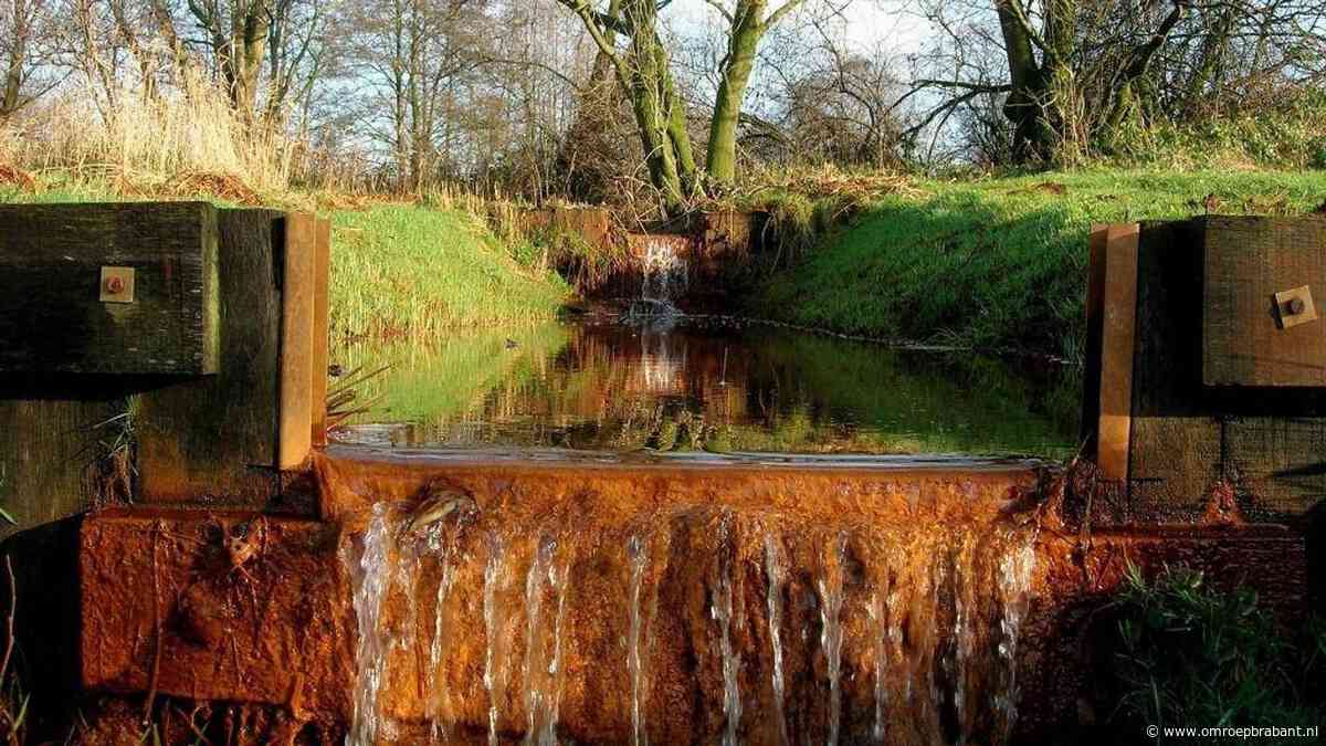 Verborgen breuk onder Brabant zorgt voor uniek natuurfenomeen: 'Bijzonder'