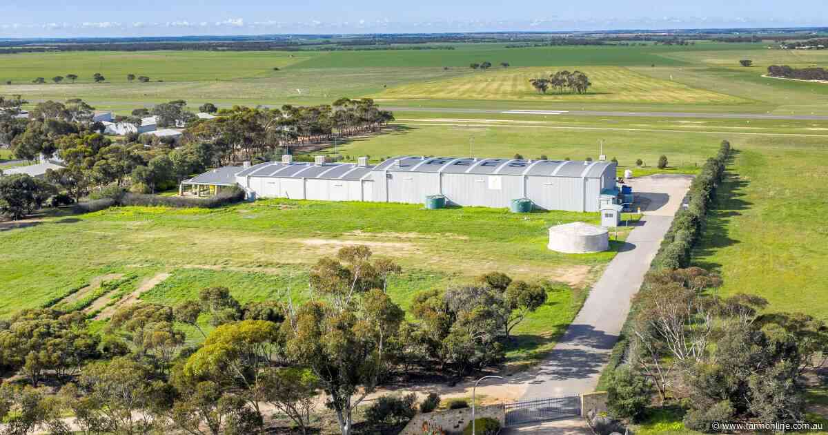 After $9.2m apple deal, Duxton Farms puts bee factory on market