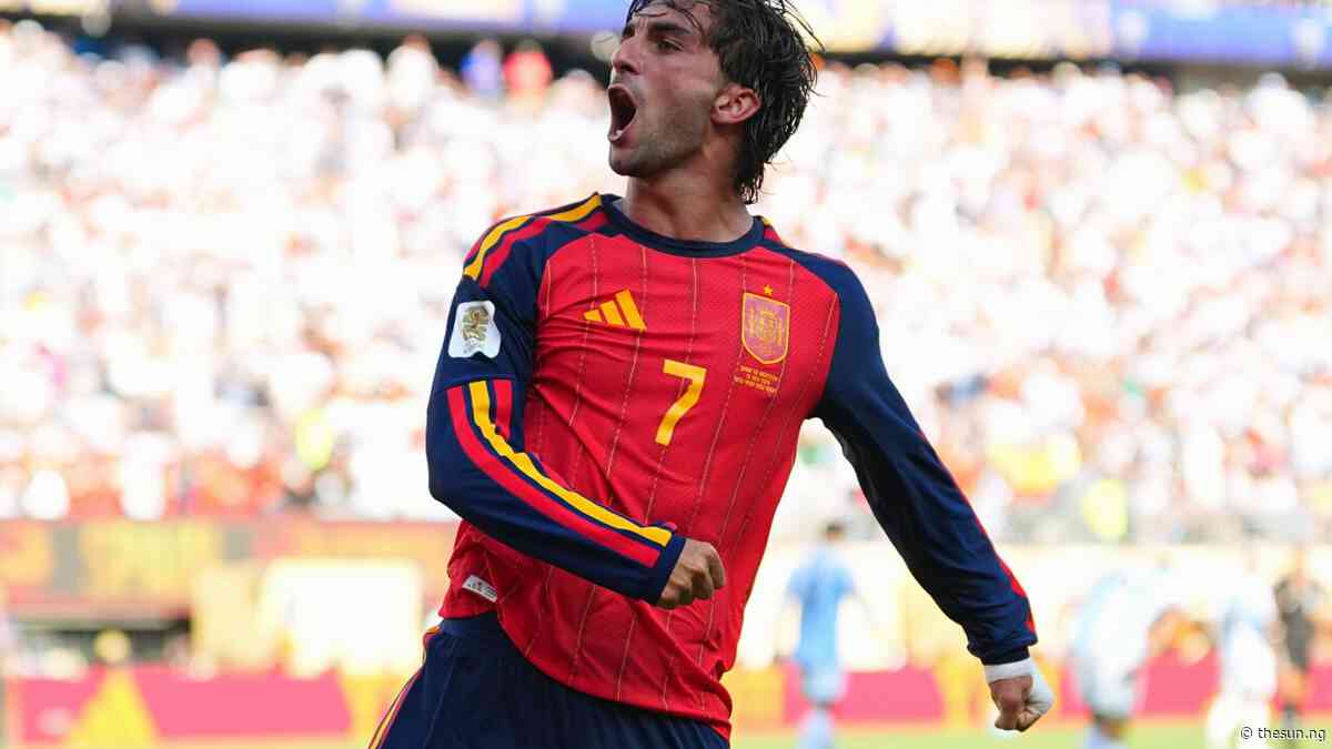 World Cup final hero Torres dedicates title to all Spaniards