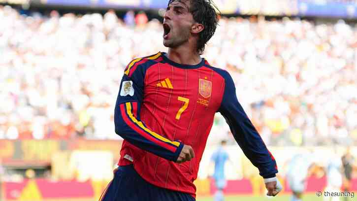 World Cup final hero Torres dedicates title to all Spaniards