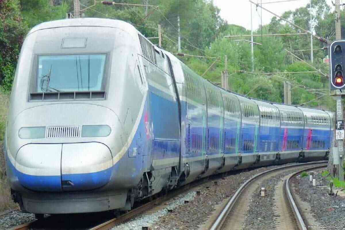 « Un aller-retour sans arriver à destination » : le train de cette Azuréenne contraint de faire demi-tour après avoir été stoppé en raison de l’incendie de Taradeau