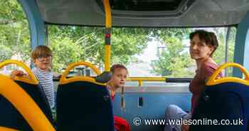 Free bus travel rules start on August 1 and 7.5million people are eligible
