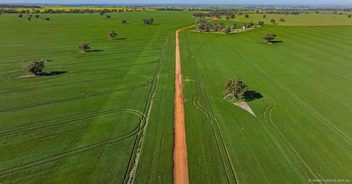 Maxwell Ag's institutional-scale cropping operation expected to top $33m