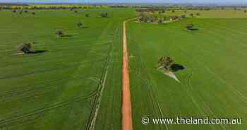 Maxwell Ag's institutional-scale cropping operation expected to top $33m