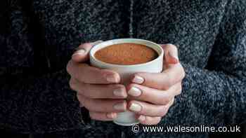 'I compared Cadbury hot chocolate and supermarket own brands - winner was £1.45 cheaper'
