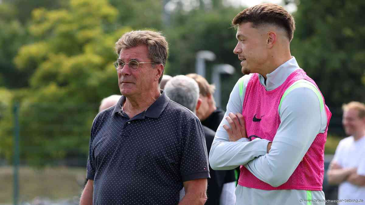 VfL Wolfsburg: Was passiert mit Pejcinovic, Amoura und Majer?