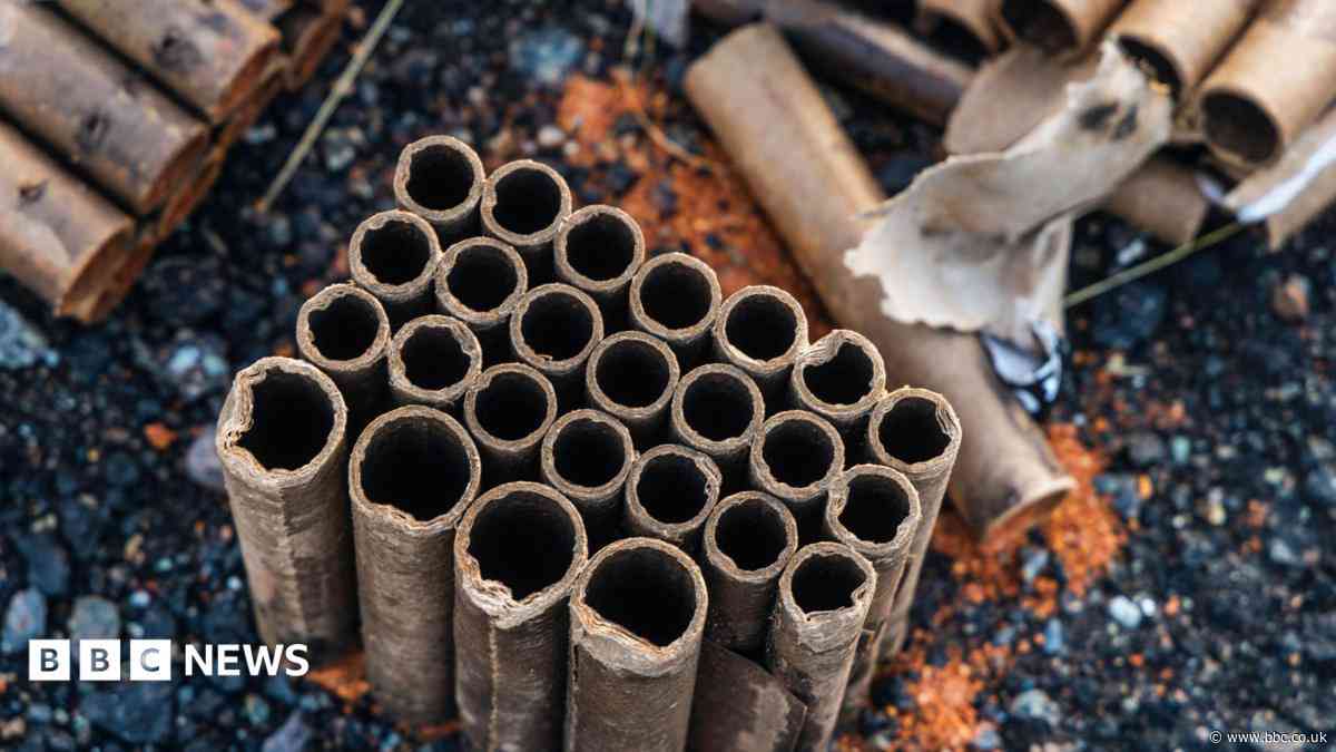 Firework review welcomed as 'blight' continues