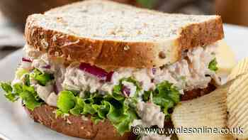 Ditch the mayo in your tuna sandwich — try simple swap instead