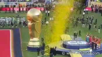 Bitter Argentina players turn their backs to Spain's World Cup trophy lift after violence marred winners' celebrations