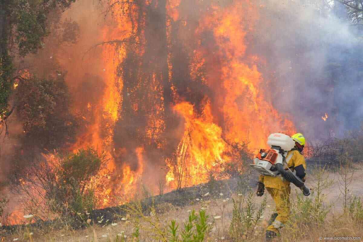 Près de 200 hectares brûlés, 10 maisons touchées, 350 pompiers mobilisés : vive inquiétude dans le Var, l’incendie de Taradeau - Les Arcs pas fixé