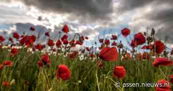 Rustig zomerweer, later in de week mogelijk warmer