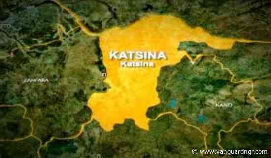 Police foil kidnap, cattle rustling attempts, rescue victim in Katsina