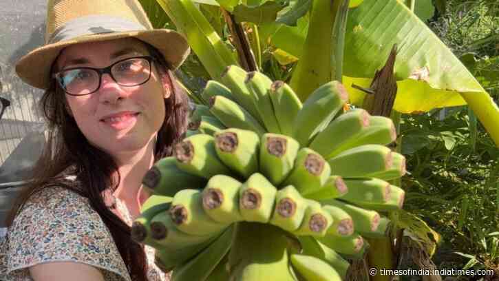 Bananas bloom in UK gardens as warmer weather transforms what people can grow