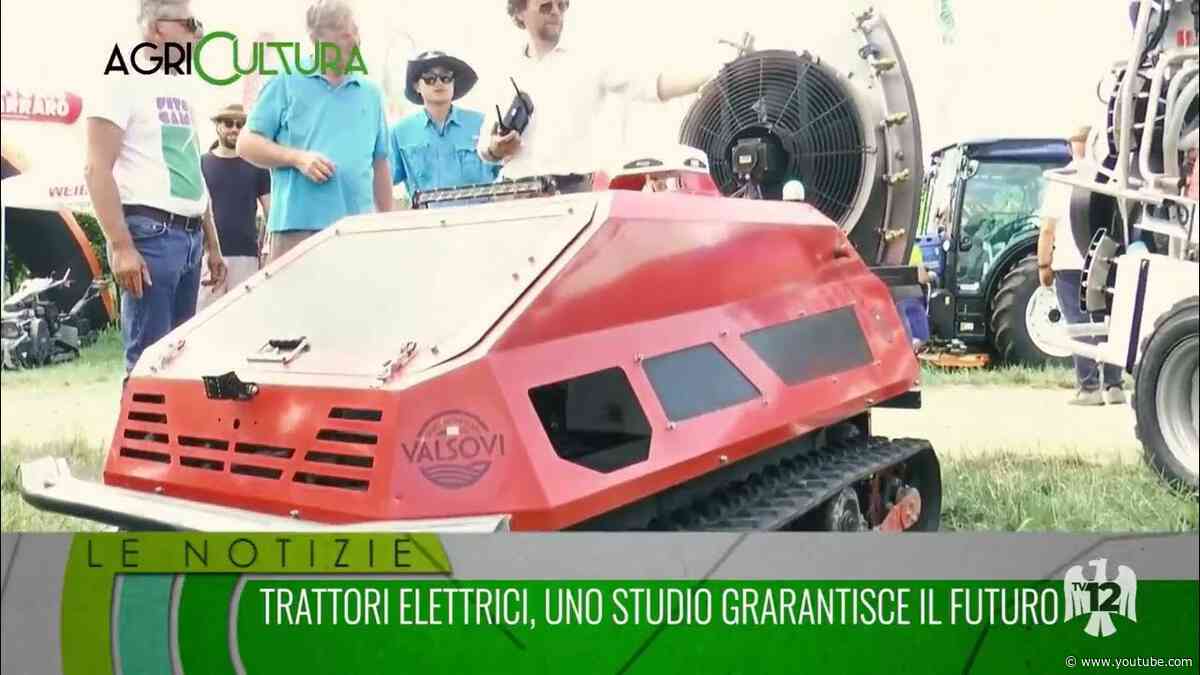 AGRICULTURA | 19/07/2026