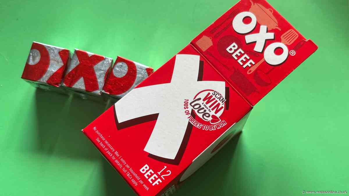 TikTok foodie says 'You do all know this don't you?' as she shares Oxo cube trick