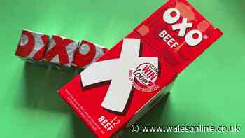 TikTok foodie says 'You do all know this don't you?' as she shares Oxo cube trick