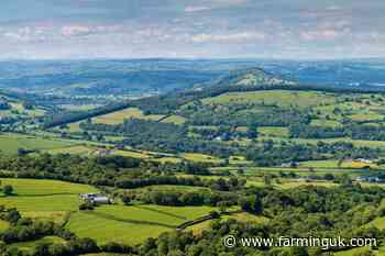 More than £1bn pledged to support Welsh farming