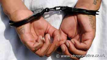 Criminals sentenced to a total of 1,388 years in prison as part of North East police operation