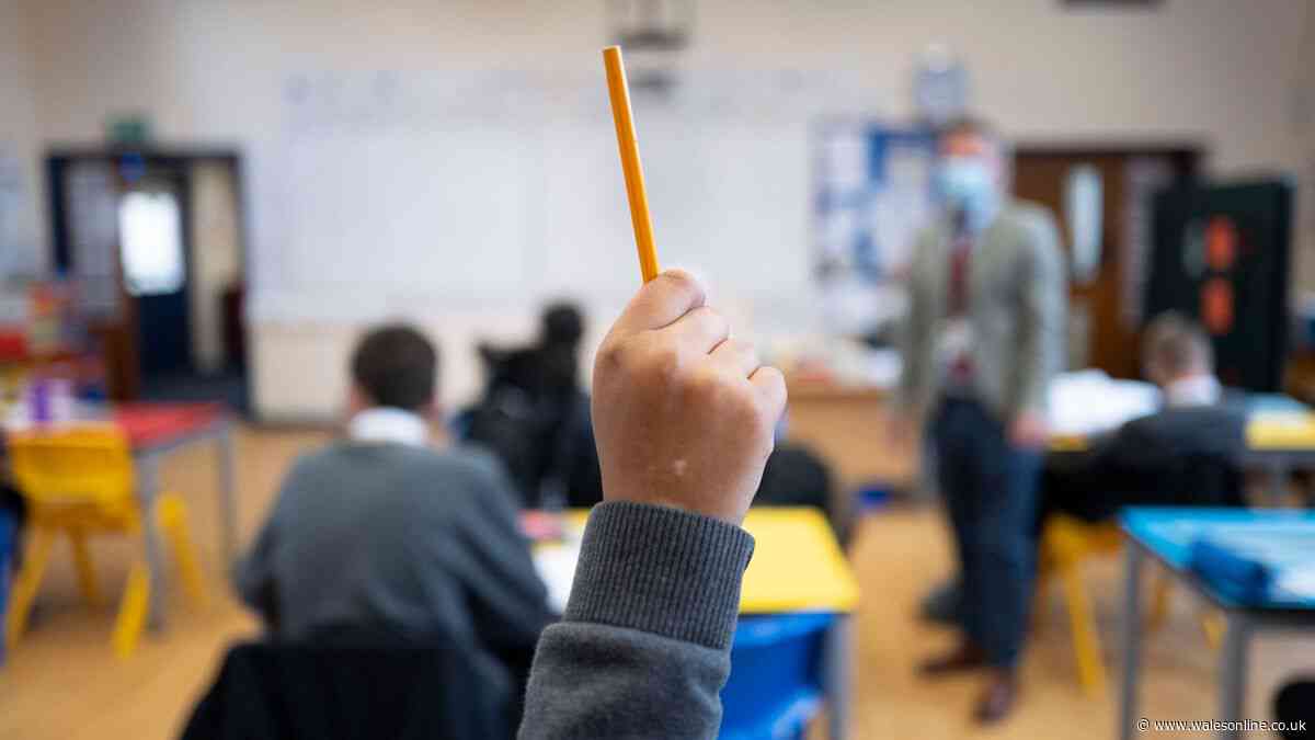 Calls for clearer guidance for schools after heatwave closures