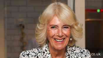 Queen Camilla's friend reveals how she really feels about ‘sudden’ change in role