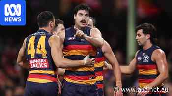 Tribunal upholds three-match ban for Crows forward Darcy Fogarty