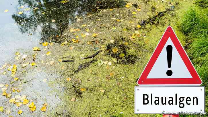 Blaualgen im Badesee Trabelsdorf: Gesundheitsamt warnt vor dem Baden
