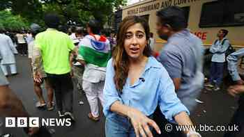 From hundreds to thousands: How India's 'cockroach' protest movement has grown