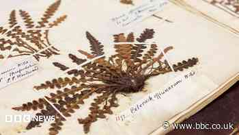 'Hidden time-capsule of UK biodiversity' unlocked