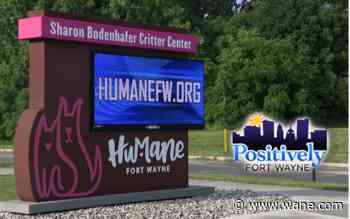 Pet loss support group is Positively Fort Wayne