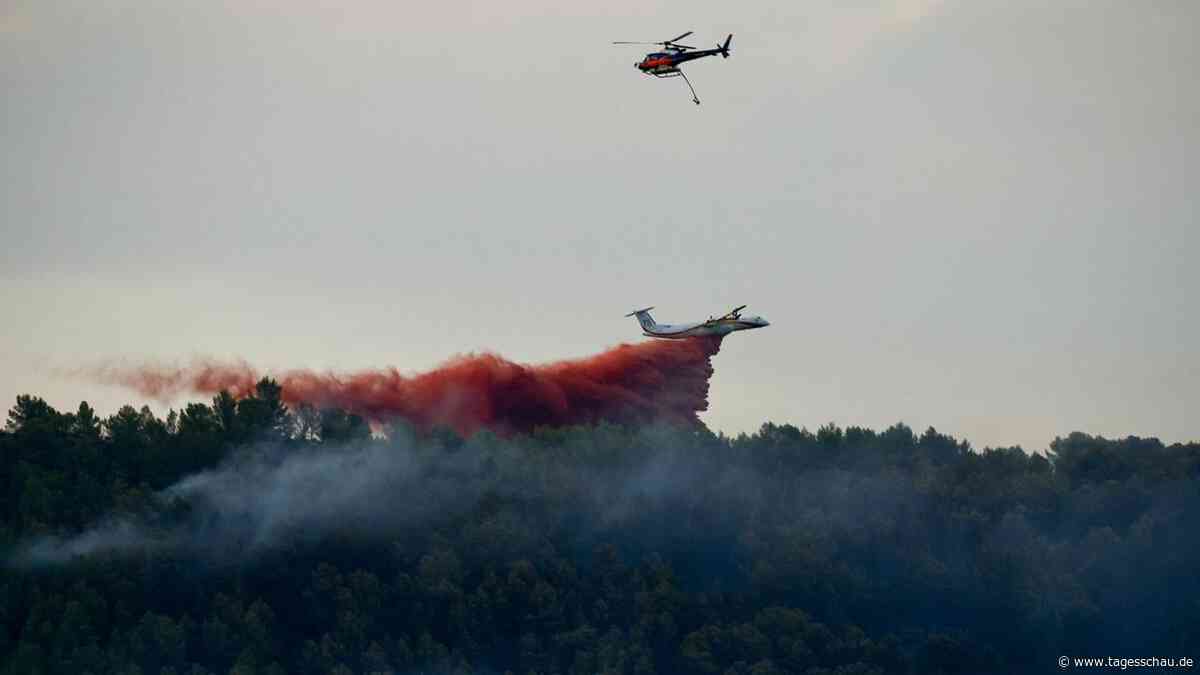 Neue Waldbrände in Südfrankreich ausgebrochen