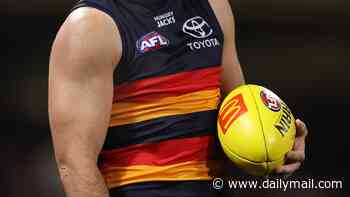 Crows star has hefty ban upheld after wild tackle that left Sydney's Harry Cunningham unconscious