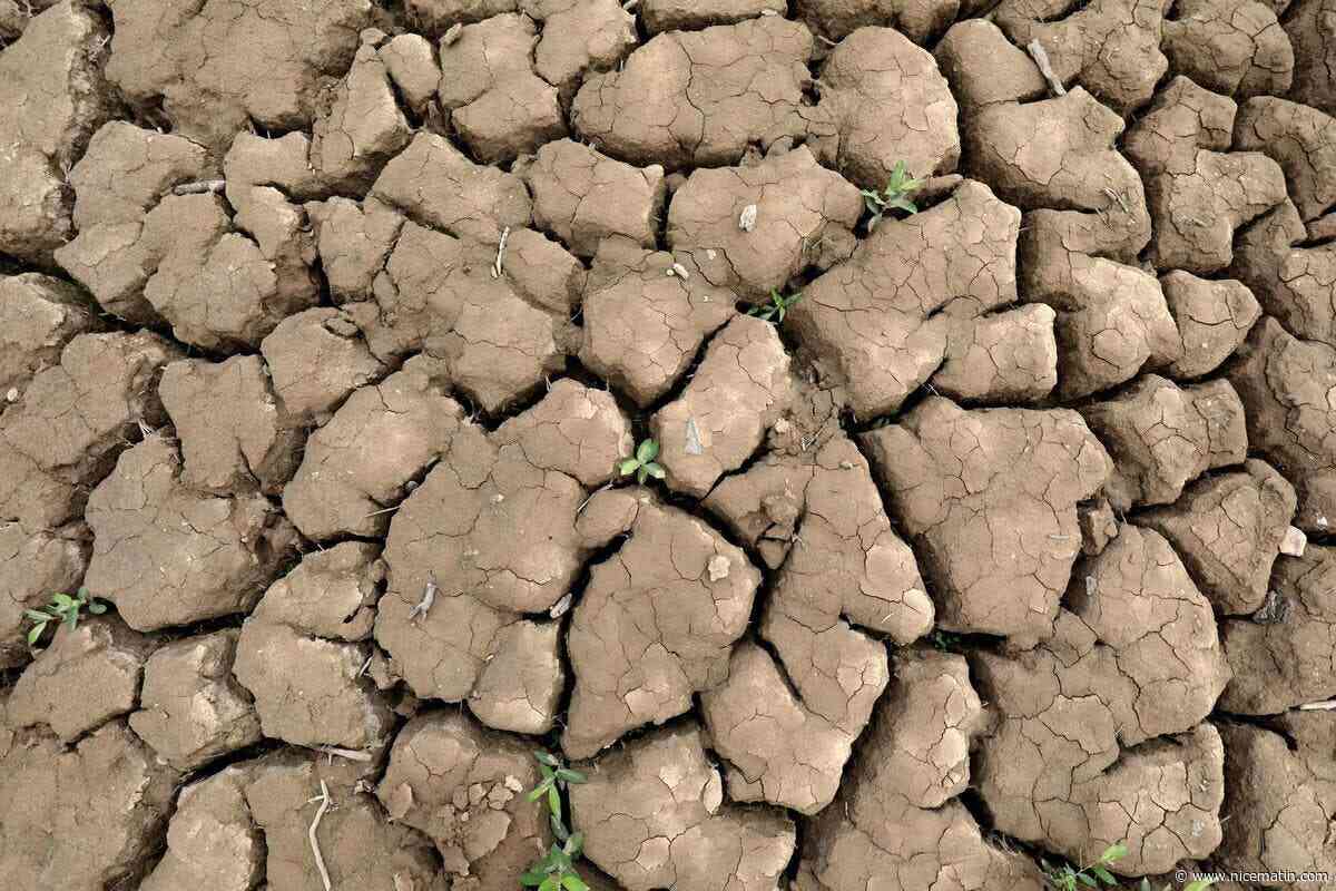 Canicule et déficit de pluie dans le Var : la commune de Tanneron bascule en alerte sécheresse