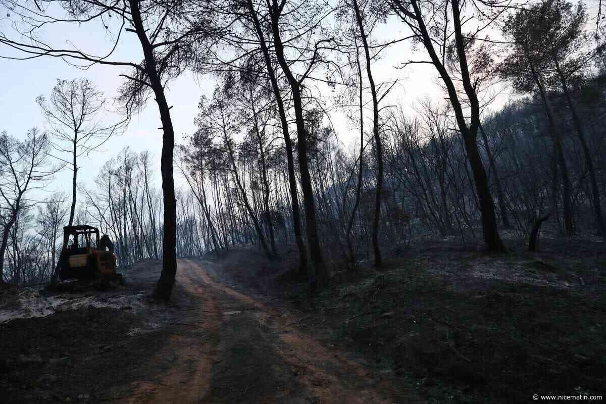 Incendies en France : « Un peu moins de 40.000 hectares » brûlés et 111 interpellations depuis le début de l’année